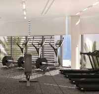 Modern gymnasium with rows of treadmills, elliptical machines, and free weights against large windows.