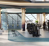 Residential gym interior with treadmills, ellipticals, and a bright, open design with large windows.