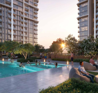 Swimming pool surrounded by palm trees and sun loungers